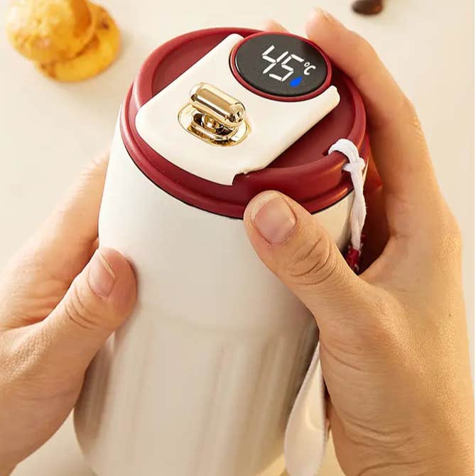 Digital Thermal Mug (450ml )